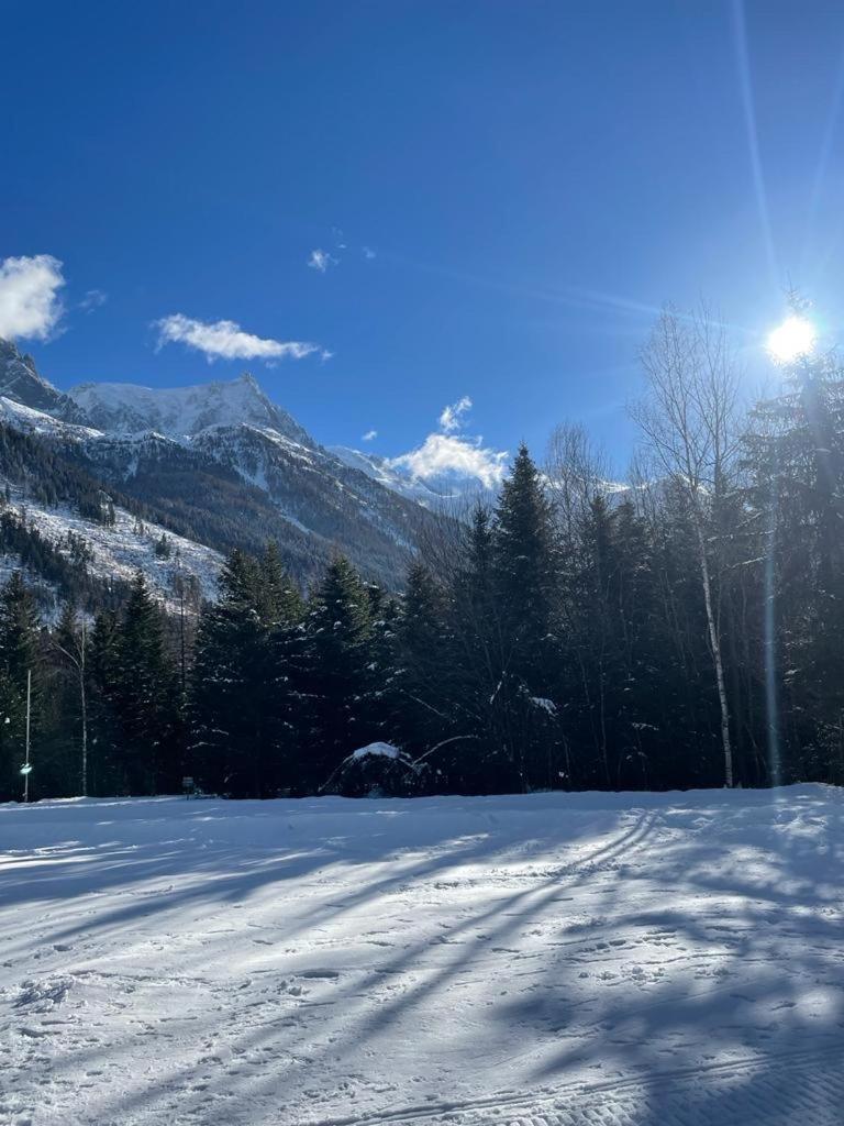 Le Grand Panorama Appartement 2 Chambres 6 Personnes Saint-Gervais-les-Bains Εξωτερικό φωτογραφία